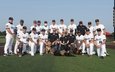 WarDogs Baseball